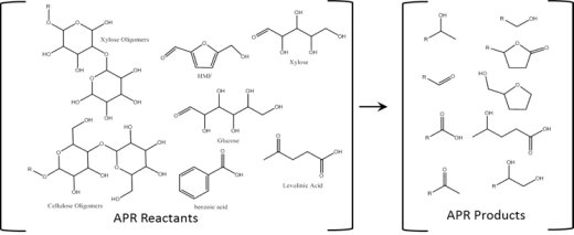 Biomass Fuel Production examples of products 