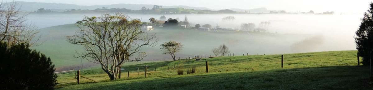 Mist rising from rolling paddocks suggesting arising energy promises