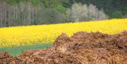 Alternative Energy Index Nasdaq Clean Edge Include Biofuel Companies Such As Process Canola - iStockPhoto