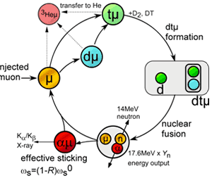 Japan Fusion Muon Catalyzed Interaction Diagram