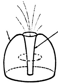 Prometheus Links Plasmak Plasma Diagram 2