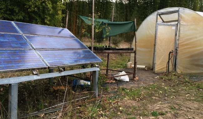 Permaculture activist using solar power, with generating panels shown, to run plant growing for a farm
