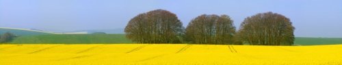 Biofuel From Agricultural Crops - iStockPhoto