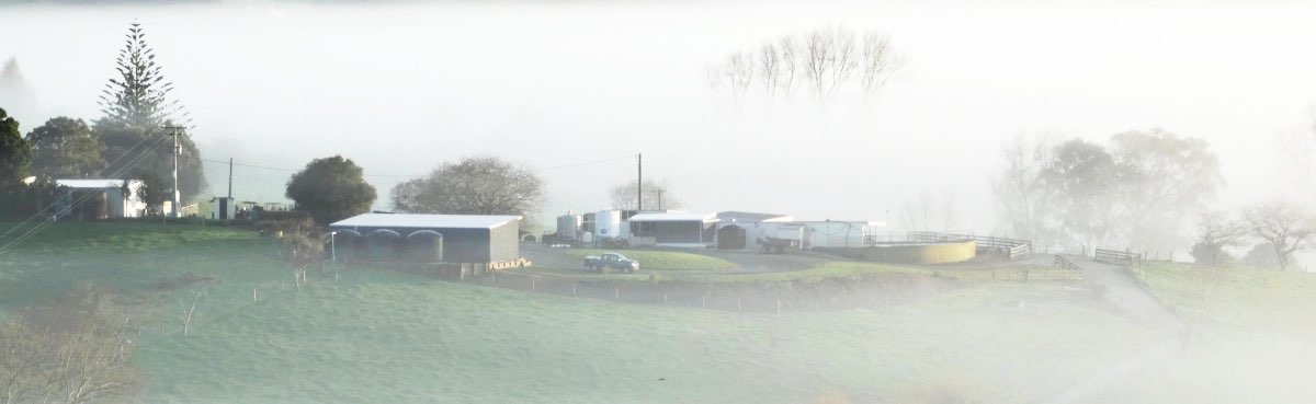 Power to farms in mist - will alternative energy supply these?