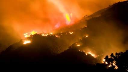 CO2 Emissions produced in a Forest Fire - iStockPhoto