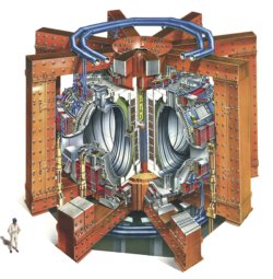 Cutaway of JET Tokamak 