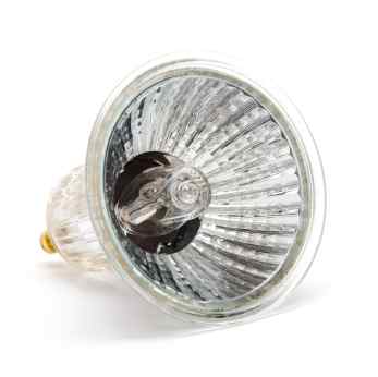 Halogen Lamp Example - iStock Photo 