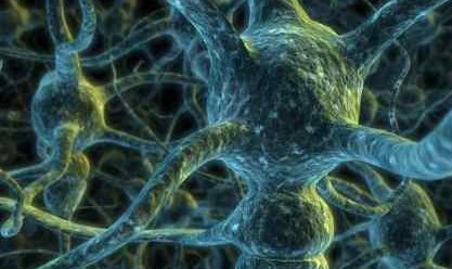 Neuron Network illustration - iStockPhoto