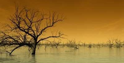 Hydroelectric Power Station Dam Lake With Submerged Trees - iStockPhoto