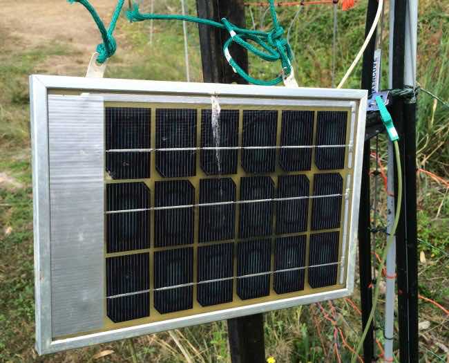 Permaculture Activist represented on Geoff Lawton's Zaytuna farm with solar panel to run an electric fence for chicken system ground management