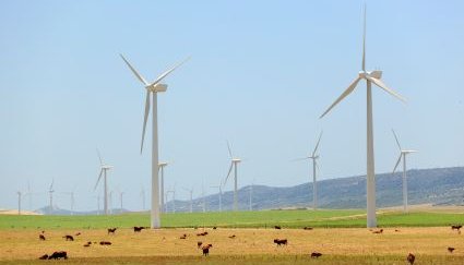 Cows grazing on farm under Wind Turbines - iStockPhoto