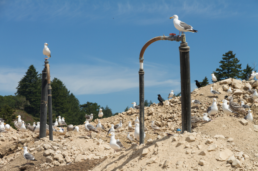 Waste Energy Plant To Improve Methane Off-Gassing - iStockPhoto